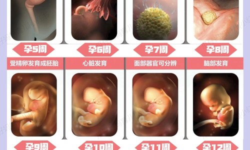 哺乳期吃益母草会影响宝宝吗-哺乳期可以喝益母草冲剂吗,中国哺乳期喝益母草颗粒对孩子有影响吗网站